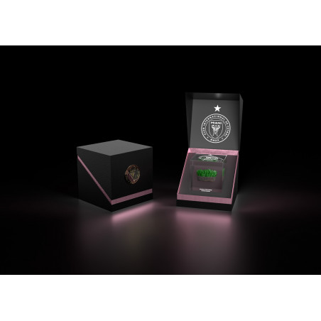 IMCF Stadium Field Grass Mini Ultra Lux Box